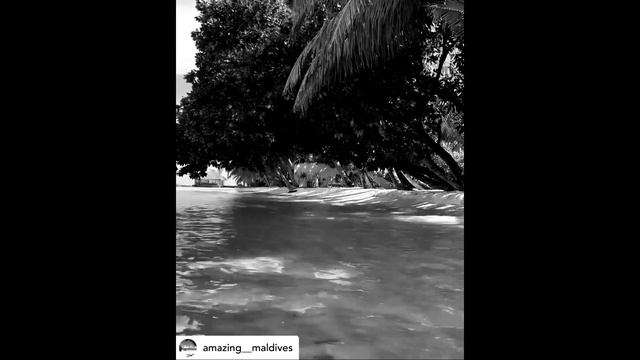 Mega Star смотреть онлайн