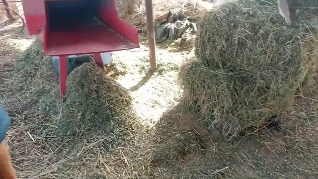 TUYAQUSH BOQISH SAMARQAND туякуш бокиш самарканд