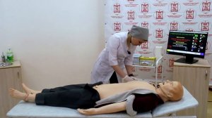 Физикальное обследование пациента сердечно-сосудистая система