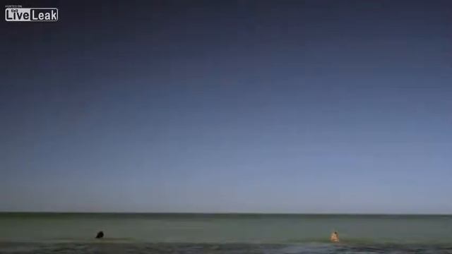 Крутая реклама обычных тампонов смотреть онлайн