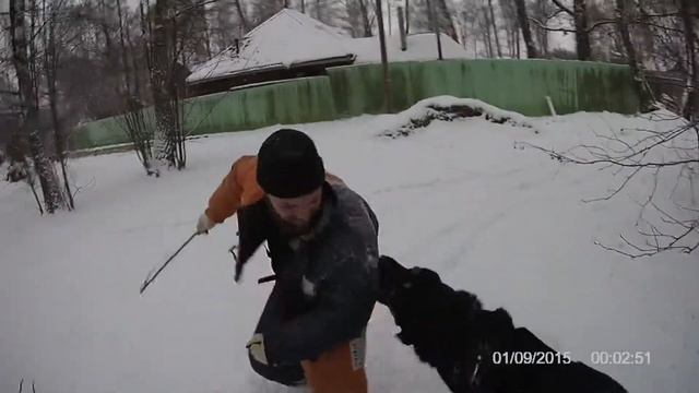 Испанский мастиф охрана смотреть онлайн