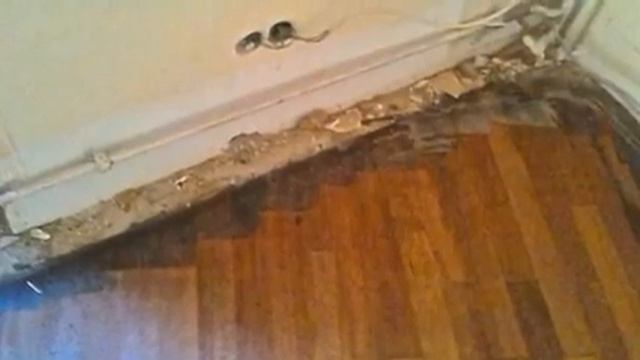 Parkett Schleifen, Ausbessern, ölen, Kurfürstendamm Charlottenburg Berlin