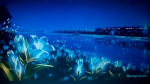 Самые красивые фотки