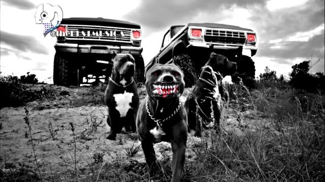 Крутая Музыка в Машину 2023 ? Классная Музыка Бас Хиты ? Качает Крутая Музыка 2023 смотреть онлайн