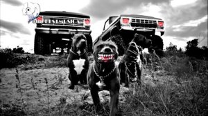 Крутая Музыка в Машину 2023 ? Классная Музыка Бас Хиты ? Качает Крутая Музыка 2023