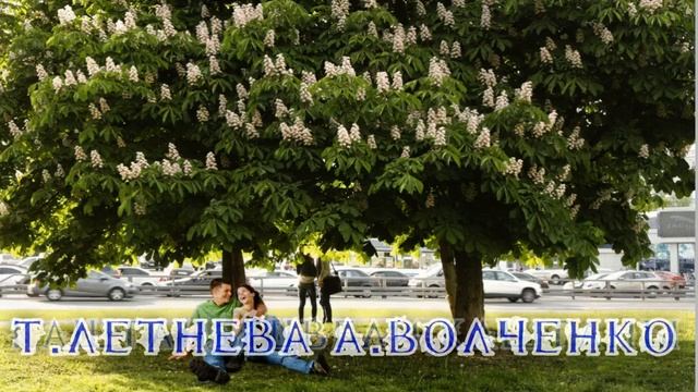 Каштаны цвели Сл:Т.Летнева Муз:А.Волченко смотреть онлайн