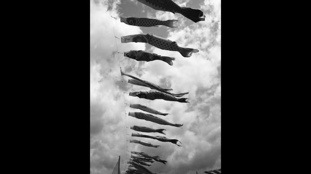 Nikon S3+Voigtländer SC SKOPAR 21mm F4 / Panf PLUS 50 смотреть онлайн