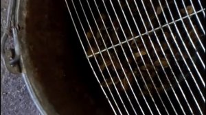 Куриные бедра горячего копчения в ведре бюджетно