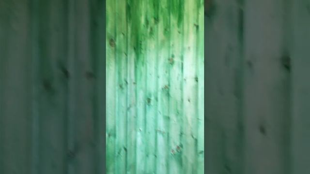 Зелёная ванная комната/ мазда на пальме смотреть онлайн