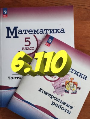 математика 5 класс номер 6.110