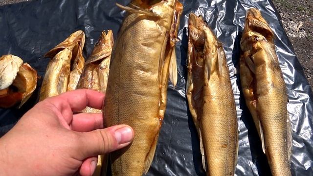 СУДАК ГОРЯЧЕГО КОПЧЕНИЯ в самодельной коптильне. Smoked Fish