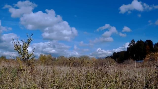 ЛОВЛЯ ЩЕГЛА ,ЧЕЧЁТКИ И СОРОКОПУТ не попавшие кадры ловли 2017 года смотреть онлайн