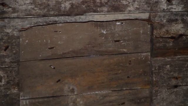 Мичуринское, заброшенные финские амбары смотреть онлайн