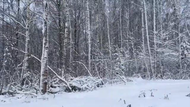 Участок на берегу Рыбинского водохранилища смотреть онлайн