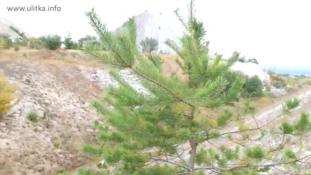 Экскурсия на меловые горы в Райгородке, Славянский р-н, возле Святогорска смотреть онлайн