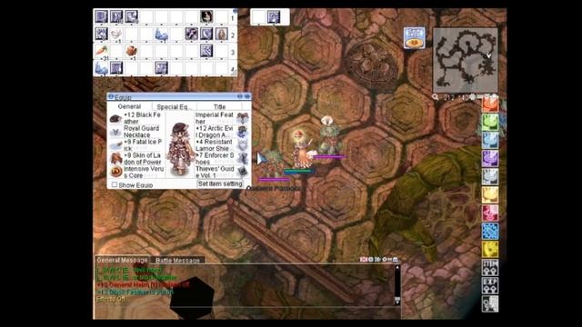 iRO: Illusion of Abyss Turtle Island - Shadow Chaser Leveling 700k exp per kill!! смотреть онлайн