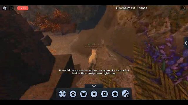 How to unlock the Pumpkin hunter badge & The Enigma Badge | Warrior Cats Ultimate Edition | смотреть онлайн