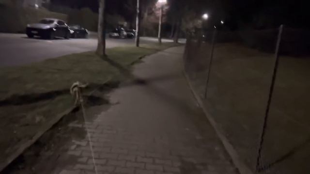 БОЮСЬ НО НУЖНО 🤭Темно и не Души🐕👩🦯Что с Пашей 👴 Что же получилось 💫 Olga Kirchgessner смотреть онлайн