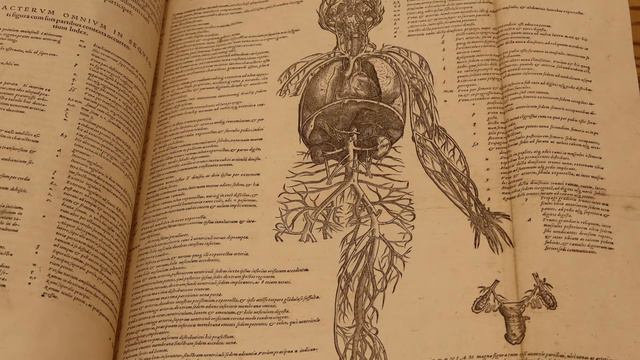 De Humani Corporis Fabrica, Andreas Vesalius смотреть онлайн