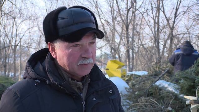 Как новогодняя ёлка может помочь животным зимой смотреть онлайн