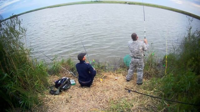 Дикий клев карпа и карася на озере. смотреть онлайн