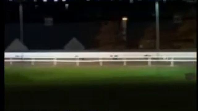 IGB - The Retired Greyhound Trust Semi-Final 02/11/2019 Race 5 - Waterford смотреть онлайн