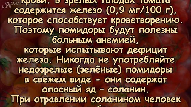 ПОМИДОР – источник отменного ЗДОРОВЬЯ и ЖИЗНЕЛЮБИЯ! смотреть онлайн