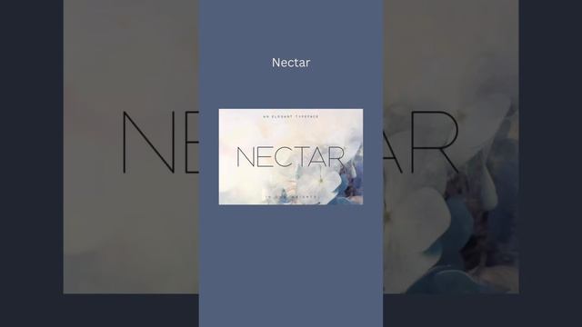 -1997456926327947743