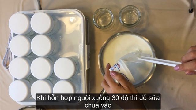 Cách làm sữa chua thơm ngon bằng máy Steba JM 2 смотреть онлайн