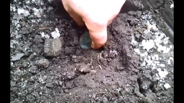 Как мы нашли Клад смотреть онлайн