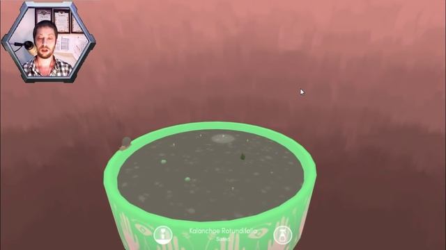 Viridi #1 Слова благодарности смотреть онлайн