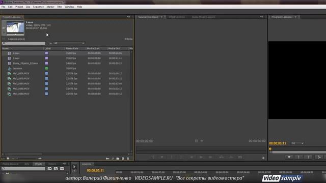 Adobe Premiere Pro.  Окно Project в программе Adobe Premiere Pro.