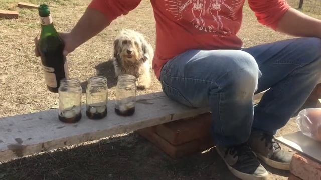 Аргентинский Фернет как его готовить | Fernet Argentino | Cómo Toman El Fernet En Argentina |