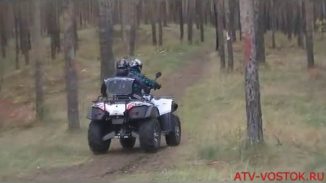 BaltMotors Jumbo700 EFI смотреть онлайн