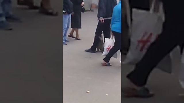 Продаёт животных: енота, собаку,и людей смотреть онлайн