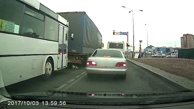 Попытка избавиться от кота попала на видео в Астане смотреть онлайн