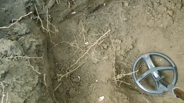 Коп с xp deus у старинного погреба смотреть онлайн