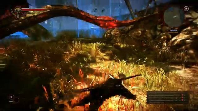 Ведьмак 2. Глава 1. Часть 19. Удаление татуировки. Бой с Кейраном смотреть онлайн