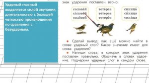 Страница 41 Упражнение 4 «Ударение» - Русский язык 1 класс (Канакина, Горецкий)