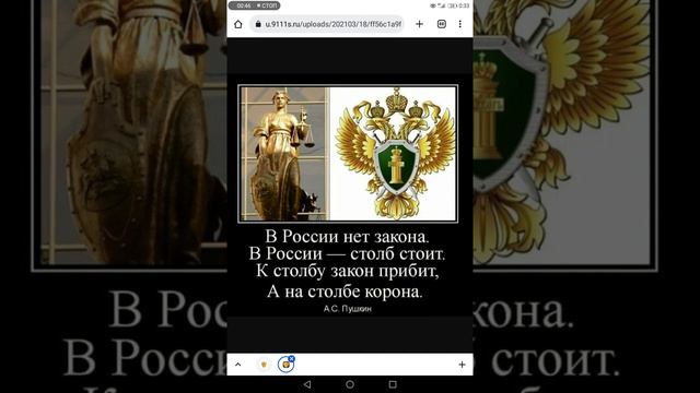 в России НЕТ ЗАКОНА смотреть онлайн
