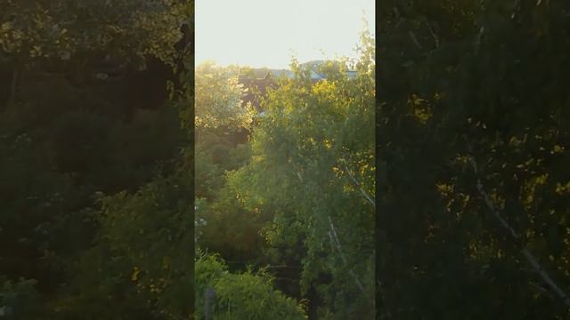 📹 Утро начинается не с кофе, а с восхода солнца. 🌞 смотреть онлайн