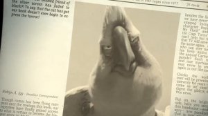 Angry Birds Rio - Nigel Mashup