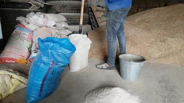 Откорм бычков Как правильно давать мел и соль смотреть онлайн