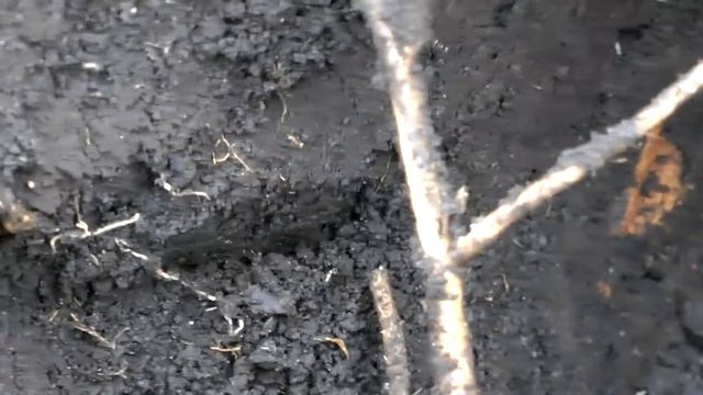 КАК НАЙТИ ФУНДАМЕНТ ДЛЯ ШУРФА НА ПАХАНОМ ПОЛЕ! смотреть онлайн