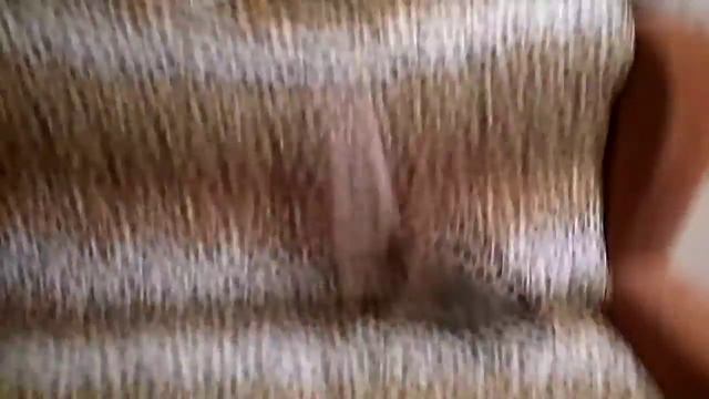 Бенгальский котик, котята.