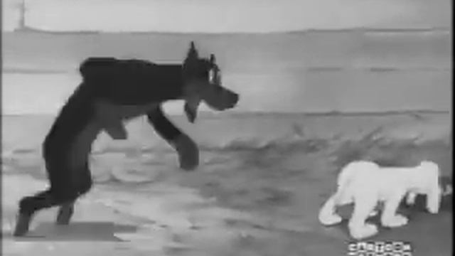 Doberman Pinscher смотреть онлайн