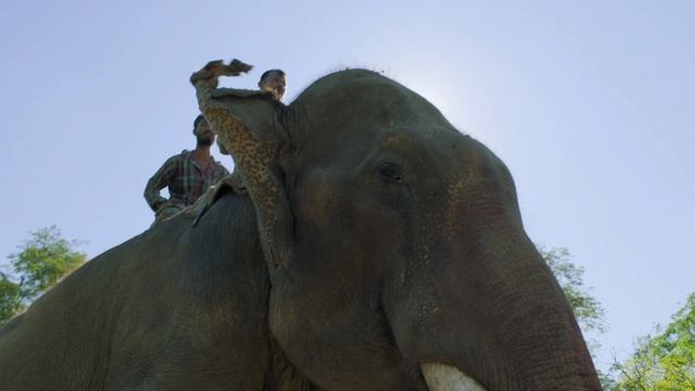 Имиджевый ролик канала HDL # 4