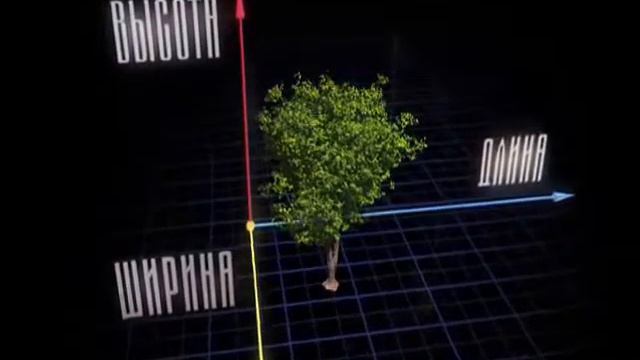 Композиция моего сочинения - Другое измерение смотреть онлайн