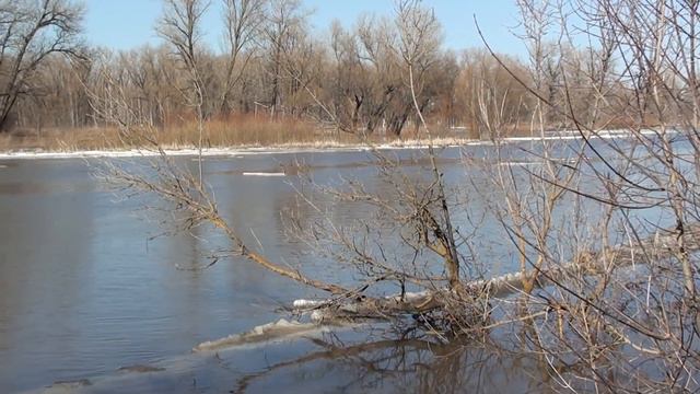 р.Хопёр - 10.04.18 г. смотреть онлайн