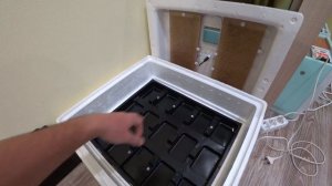 ИНКУБАЦИЯ ГУСИНЫХ ЯИЦ В ИДЕАЛЬНОЙ НАСЕДКЕ.  ОЧЕНЬ ПЛОХОЙ РЕЗУЛЬТАТ